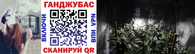 OMG tor  Мончегорск  Конопля White Widow 